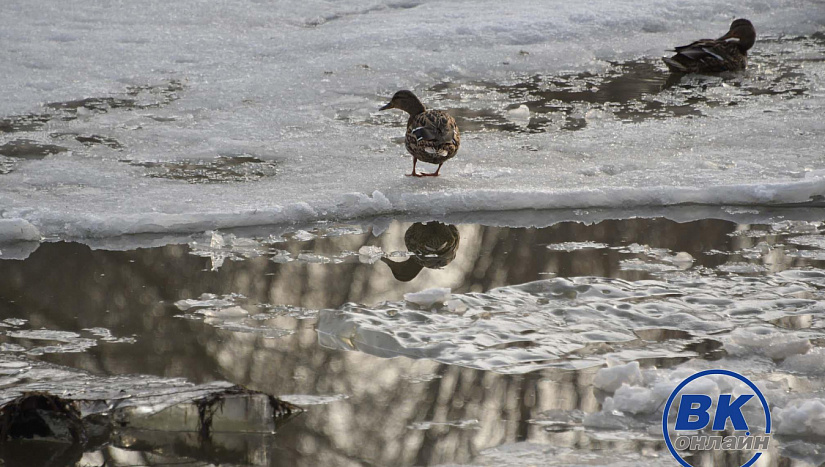 3 апреля в истории и архиве "ВК"