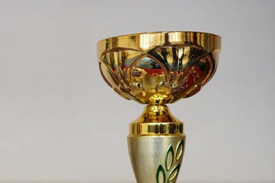 В Самаре состоится чемпионат России по смешанным единоборствам