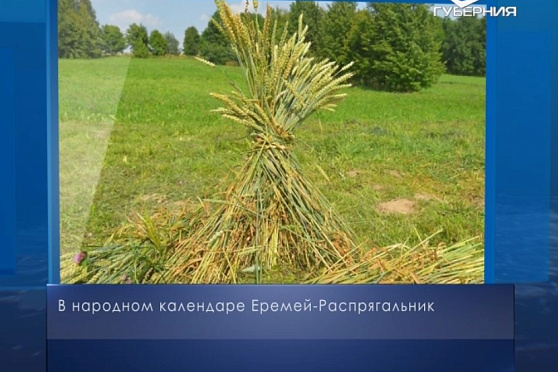 Еремей-Распрягальник. Календарь губернии от 13 июня