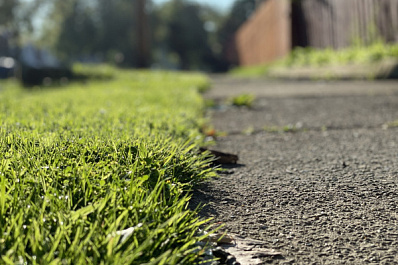 Соцсети помогли самарцам очистить улицы от мусора