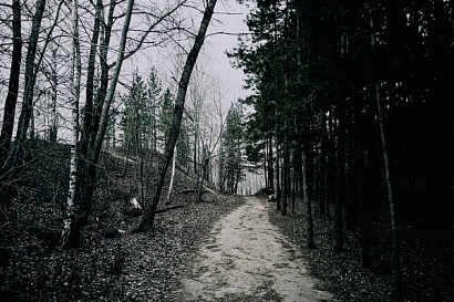 Название статьи