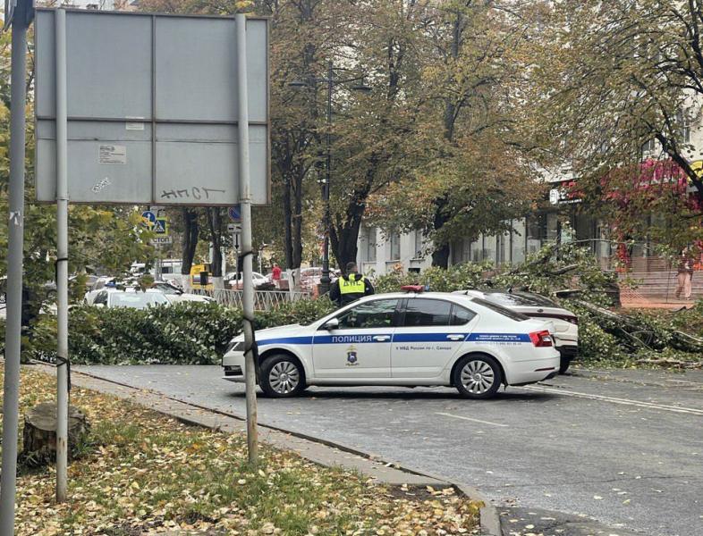 В Самаре сильный ветер снес дерево на Молодогвардейской