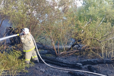 В Самарской области пожарные спасли три жилых дома от возможного загорания