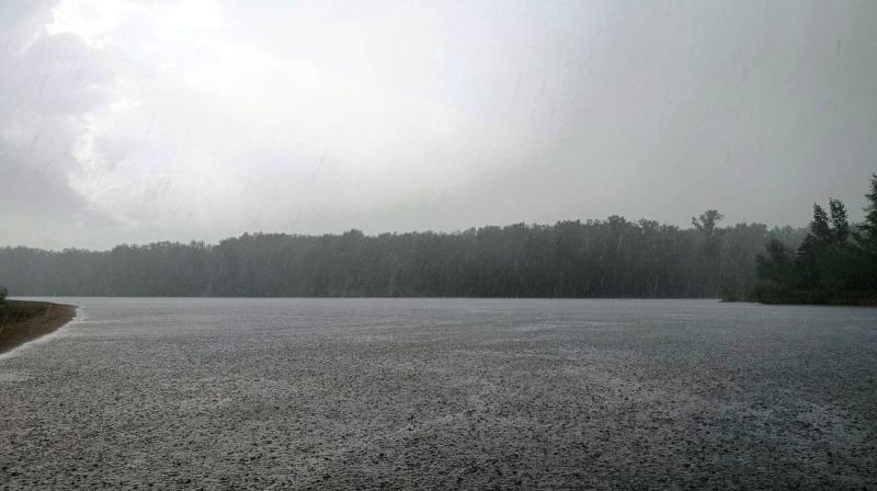 В Самарской области 24 августа будет жарко, но дождливо