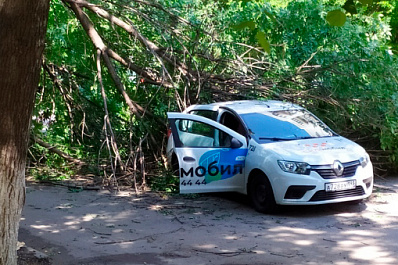 В Самаре на улице Елизарова дерево упало на машину