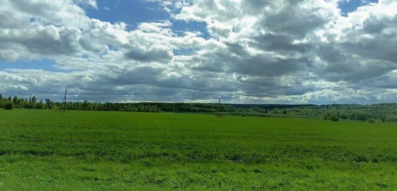 Народные приметы на 1 июня 2025 года: что нельзя делать в этот день