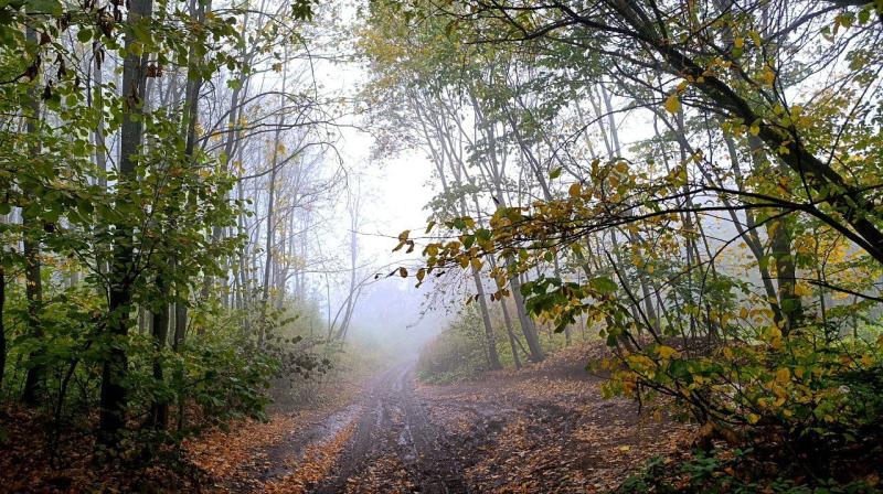 Самарцев предупредили о надвигающемся тумане