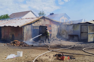 В Самарской области из-за вспыхнувшей бани погибли животные