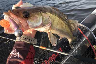 Сызранец упустил судака-гиганта 