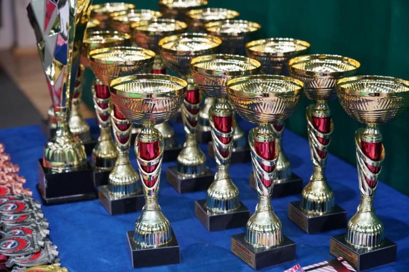 Самарские рапиристы Бородачевы примут участие в чемпионате мира