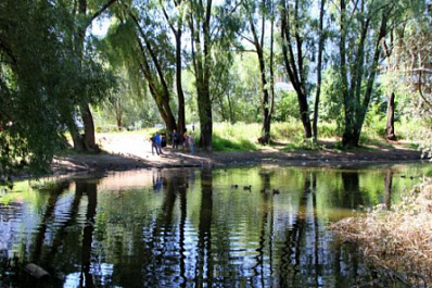 На улице Ташкентской в Самаре проведут благоустройство озера