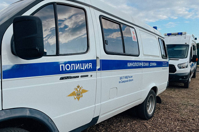 Название статьи