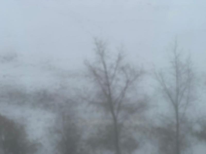 Густой туман опустится на Самарскую область 21 января
