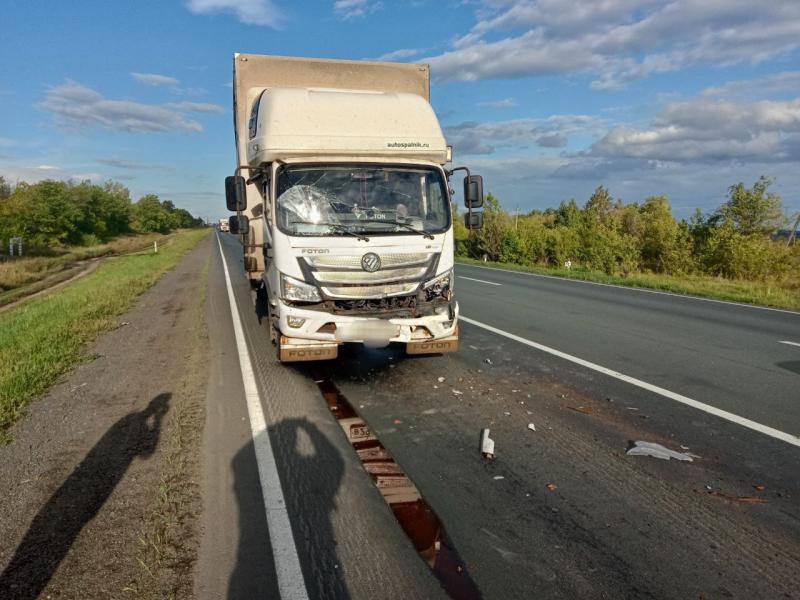 В Самарской области 19 августа после столкновения на трассе с грузовиком в больницу попал водитель "Газели"