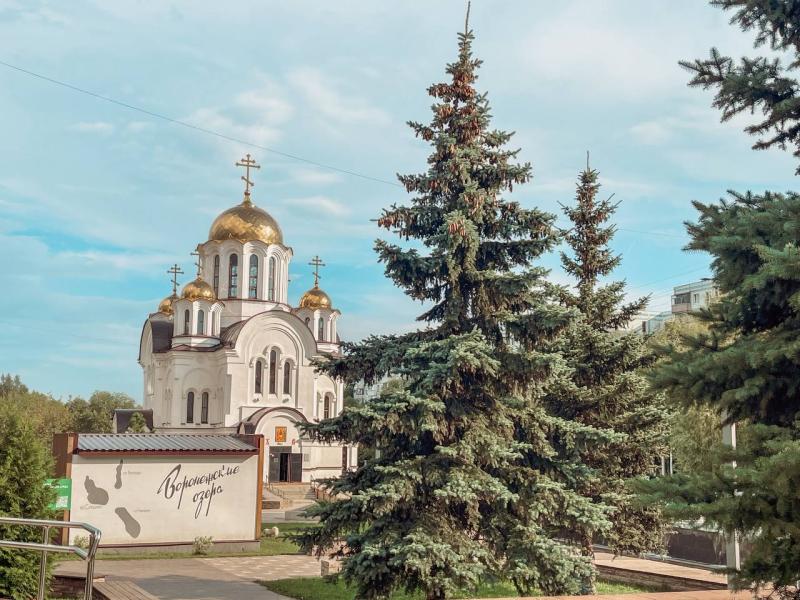 Стало известно, как в Самаре преобразят парк "Воронежские озера" в 2026 году