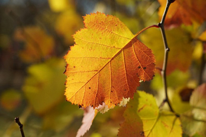 Название статьи