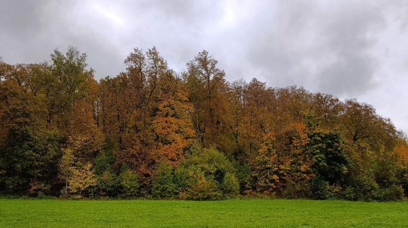 Волонтеры рассказали, когда собираются возобновить поиски семьи Усольцевых