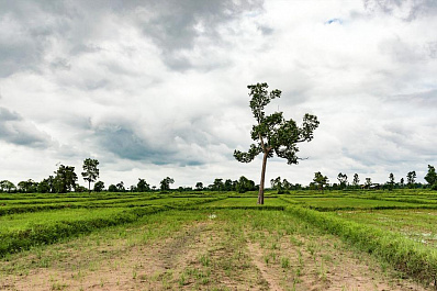 В Самарской области на участки для многодетных семей выделят 5 млн рублей