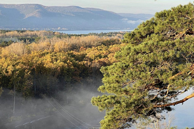 В Самарской области 1 ноября ожидаются сильные порывы ветра