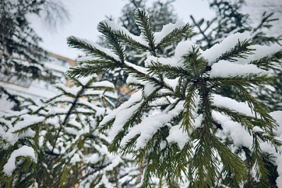 Народные приметы на 3 января 2025 года: что нельзя делать в этот день