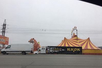 В Тольятти приезжий цирк расположился под ЛЭП