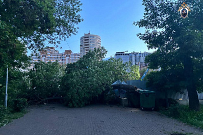 В Самаре 5 июня на женщину с коляской упало дерево