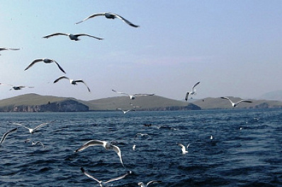 Началась подготовка команд Менделеевской экологической экспедиции на Байкал