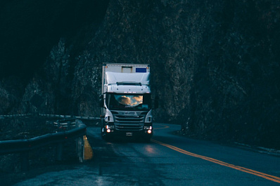 День ветеринара и дальнобойщика отмечают в России 31 августа