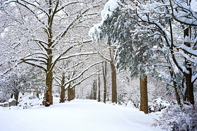 Снег в Самарской области будет идти до конца недели