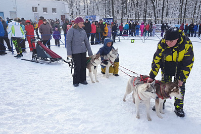 Чемпионат России по гонкам на собачьих упряжках завершился в Самаре 