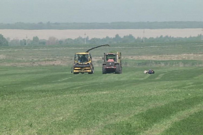 В Самарской области сенокос стартовал раньше сроков