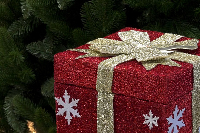 Клинический психолог Елена Мазанкина рассказала о лучшем новогоднем подарке