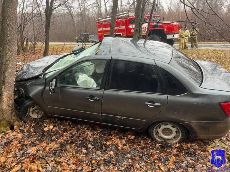 Утром 1 ноября LADA Granta сбила лося в Самарской области