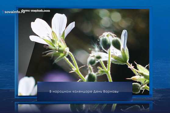 День Варнавы. Календарь Губернии от 24 июня