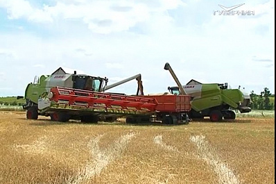 Аграрии завершают уборочную кампанию в Самарской области
