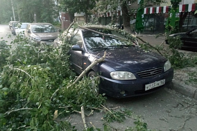 В Самаре на припаркованную иномарку упало дерево