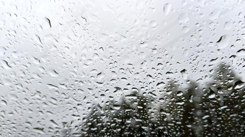 В Самарской области 26 апреля снова пройдет дождь с грозой