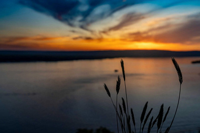 В Самарской области на нескольких пляжах не советуют купаться из-за качества воды