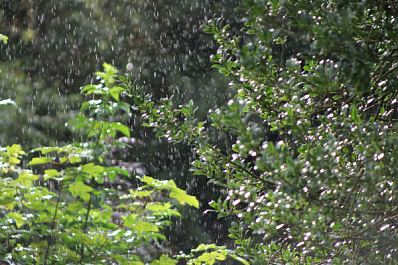 В Самарской области 17 июля будет дождливо