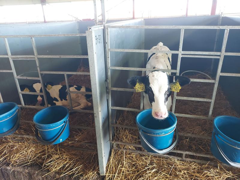 Сельский апгрейд: аграрии Самарской области ставят рекорды