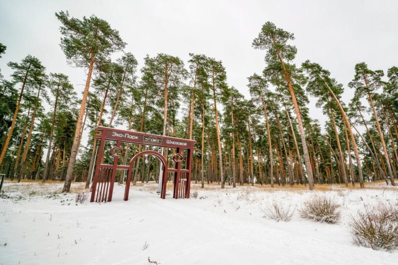 В Тольятти выбрали компанию для благоустройства Шлюзового
