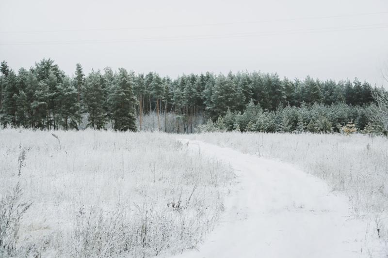 Боец СВО с позывным "Челентано": в ВСУ "с ужасом ждут зимы"