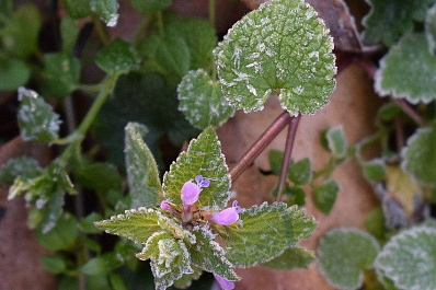 Минусовая температура вернётся в Самарскую область