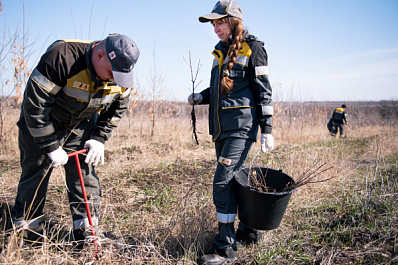Лес своими руками: в Самарской области волонтёры высадили 1,5 тысячи молодых дубов