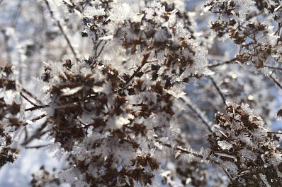 Скандинавский антициклон сменится снегопадами в Самарской области