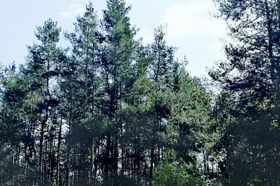 Сергей Анташев: ситуацию с экологией в промышленном Тольятти держу на личном контроле