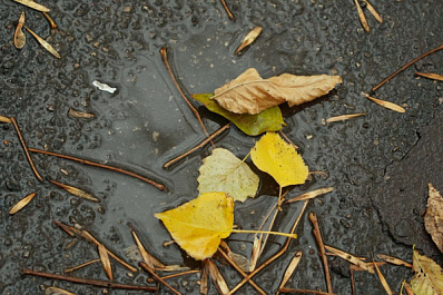 Прямо на газоне: самарцы пожаловались на стихийную парковку в Железнодорожном районе