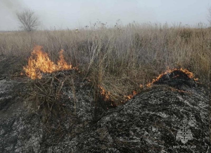 Администрация Тольятти: в городе запрещено сжигание мусора и разведение костра