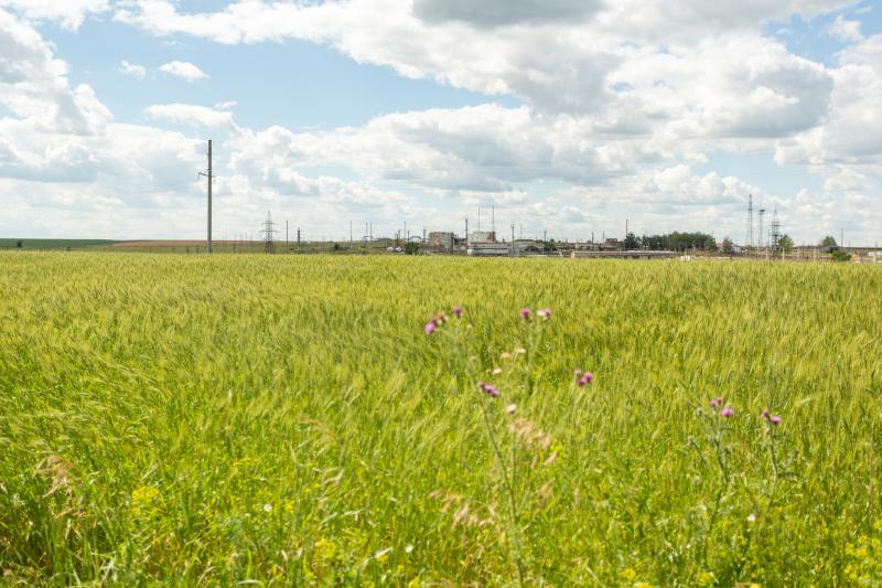 "Роснефть" рекультивирует 100 % земель "исторического наследия" к 2035 году