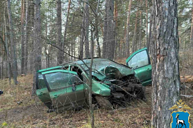 В Тольятти 20 ноября женщина погибла при столкновении иномарки с деревом